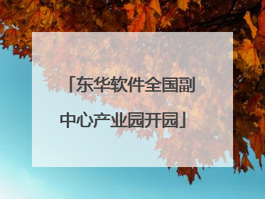 东华软件全国副中心产业园开园