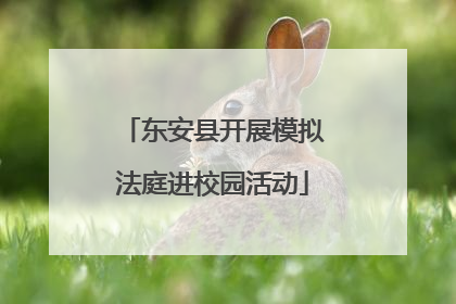 东安县开展模拟法庭进校园活动