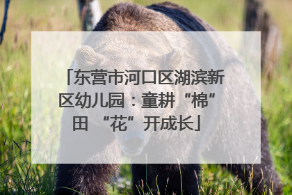 东营市河口区湖滨新区幼儿园：童耕“棉”田 “花”开成长