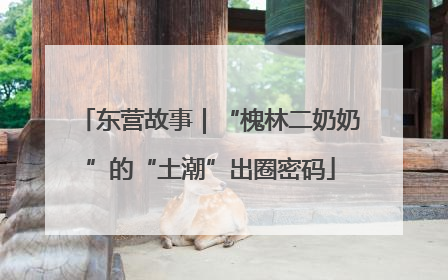 东营故事｜“槐林二奶奶”的“土潮”出圈密码