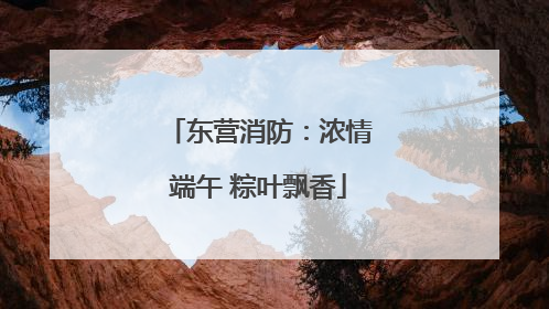 东营消防：浓情端午 粽叶飘香