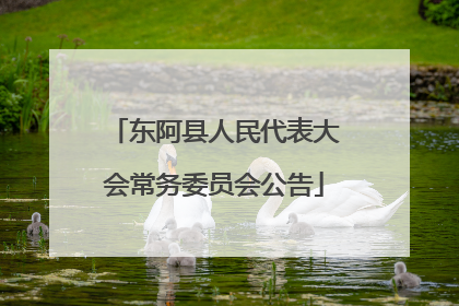 东阿县人民代表大会常务委员会公告