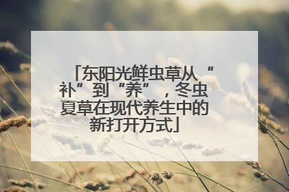 东阳光鲜虫草从“补”到“养”，冬虫夏草在现代养生中的新打开方式