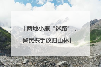 两地小鹿“迷路”，警民携手放归山林