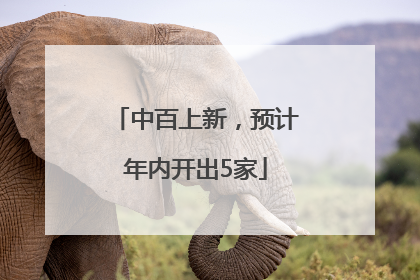 中百上新，预计年内开出5家