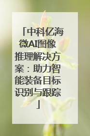 中科亿海微AI图像推理解决方案：助力智能装备目标识别与跟踪