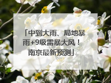 中到大雨、局地暴雨+9级雷暴大风！南京最新预测