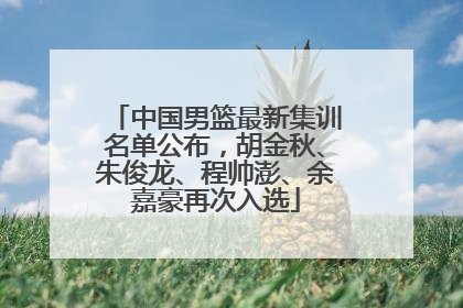 中国男篮最新集训名单公布，胡金秋、朱俊龙、程帅澎、余嘉豪再次入选