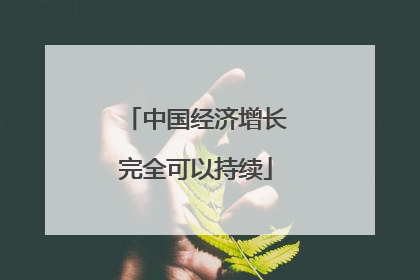 中国经济增长完全可以持续