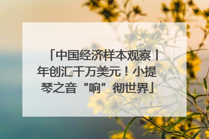 中国经济样本观察丨年创汇千万美元！小提琴之音“响”彻世界
