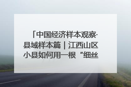 中国经济样本观察·县域样本篇｜江西山区小县如何用一根“细丝”拉出百亿级产业？
