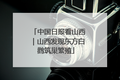 中国日报看山西｜山西发现东方白鹳筑巢繁殖