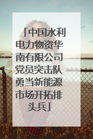 中国水利电力物资华南有限公司党员突击队勇当新能源市场开拓排头兵