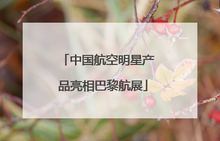 中国航空明星产品亮相巴黎航展