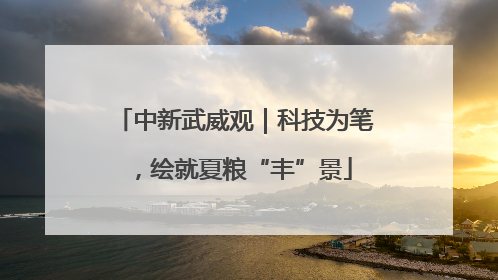 中新武威观｜科技为笔，绘就夏粮“丰”景