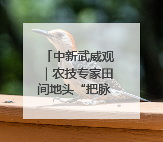 中新武威观｜农技专家田间地头“把脉开方”送“及时雨”
