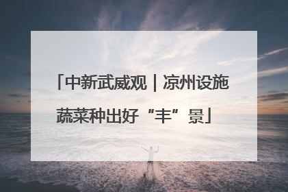 中新武威观｜凉州设施蔬菜种出好“丰”景