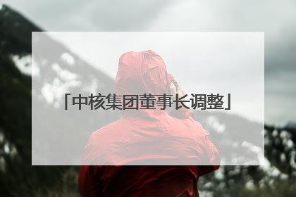 中核集团董事长调整
