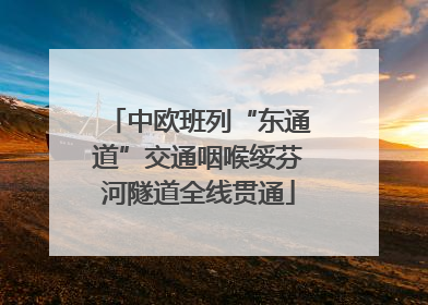 中欧班列“东通道”交通咽喉绥芬河隧道全线贯通
