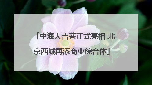 中海大吉巷正式亮相 北京西城再添商业综合体