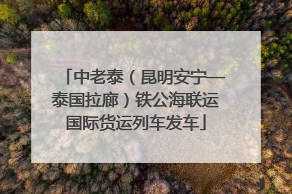 中老泰（昆明安宁—泰国拉廊）铁公海联运国际货运列车发车