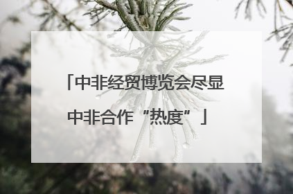 中非经贸博览会尽显中非合作“热度”