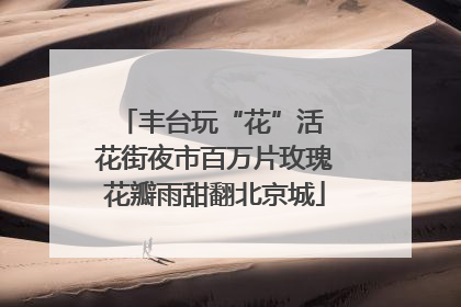 丰台玩“花”活 花街夜市百万片玫瑰花瓣雨甜翻北京城