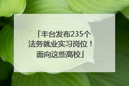 丰台发布235个法务就业实习岗位！面向这些高校