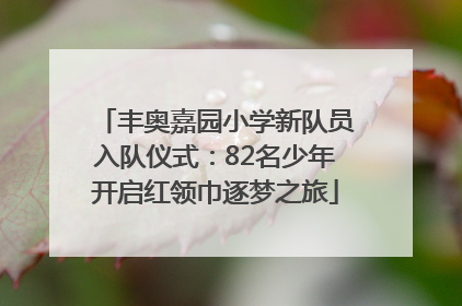 丰奥嘉园小学新队员入队仪式：82名少年开启红领巾逐梦之旅