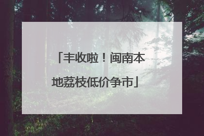 丰收啦！闽南本地荔枝低价争市