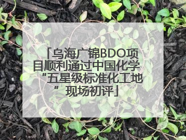 乌海广锦BDO项目顺利通过中国化学“五星级标准化工地”现场初评