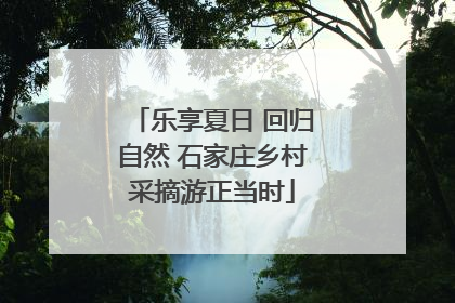 乐享夏日 回归自然 石家庄乡村采摘游正当时