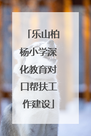 乐山柏杨小学深化教育对口帮扶工作建设