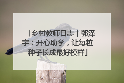 乡村教师日志｜郭泽宇：开心助学，让每粒种子长成最好模样