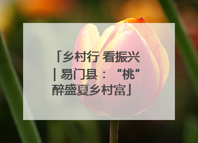 乡村行 看振兴｜易门县：“桃”醉盛夏乡村富