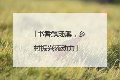 书香飘汤溪，乡村振兴添动力