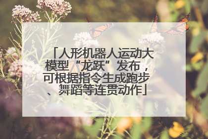 人形机器人运动大模型“龙跃”发布，可根据指令生成跑步、舞蹈等连贯动作