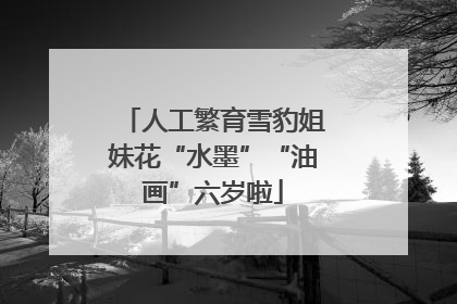 人工繁育雪豹姐妹花“水墨”“油画”六岁啦
