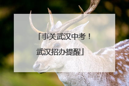 事关武汉中考！武汉招办提醒
