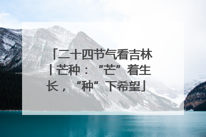 二十四节气看吉林丨芒种：“芒”着生长，“种”下希望