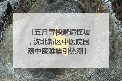 五月寻槐邂逅怪坡，沈北新区中医院国潮中医雅集引热潮