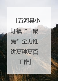 五河县小圩镇“三聚焦”全力推进夏种夏管工作