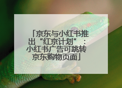 京东与小红书推出“红京计划”：小红书广告可跳转京东购物页面