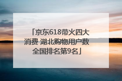 京东618带火四大消费 湖北购物用户数全国排名第9名