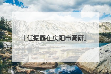 任振鹤在庆阳市调研