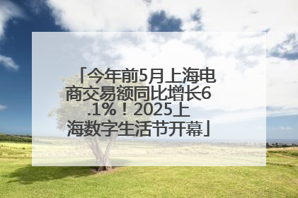 今年前5月上海电商交易额同比增长6.1%！2025上海数字生活节开幕