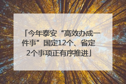今年泰安“高效办成一件事”国定12个、省定2个事项正有序推进
