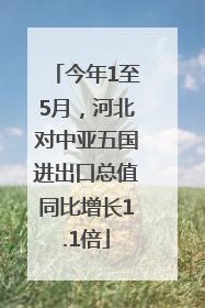 今年1至5月，河北对中亚五国进出口总值同比增长1.1倍