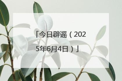 今日辟谣（2025年6月4日）