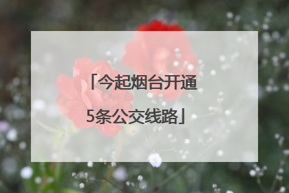今起烟台开通5条公交线路